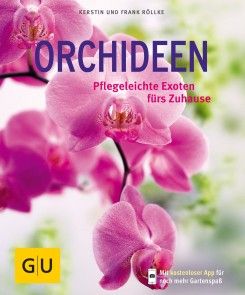 Orchideen Foto №1