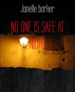 NO ONE IS SAFE AT NIGHT photo №1