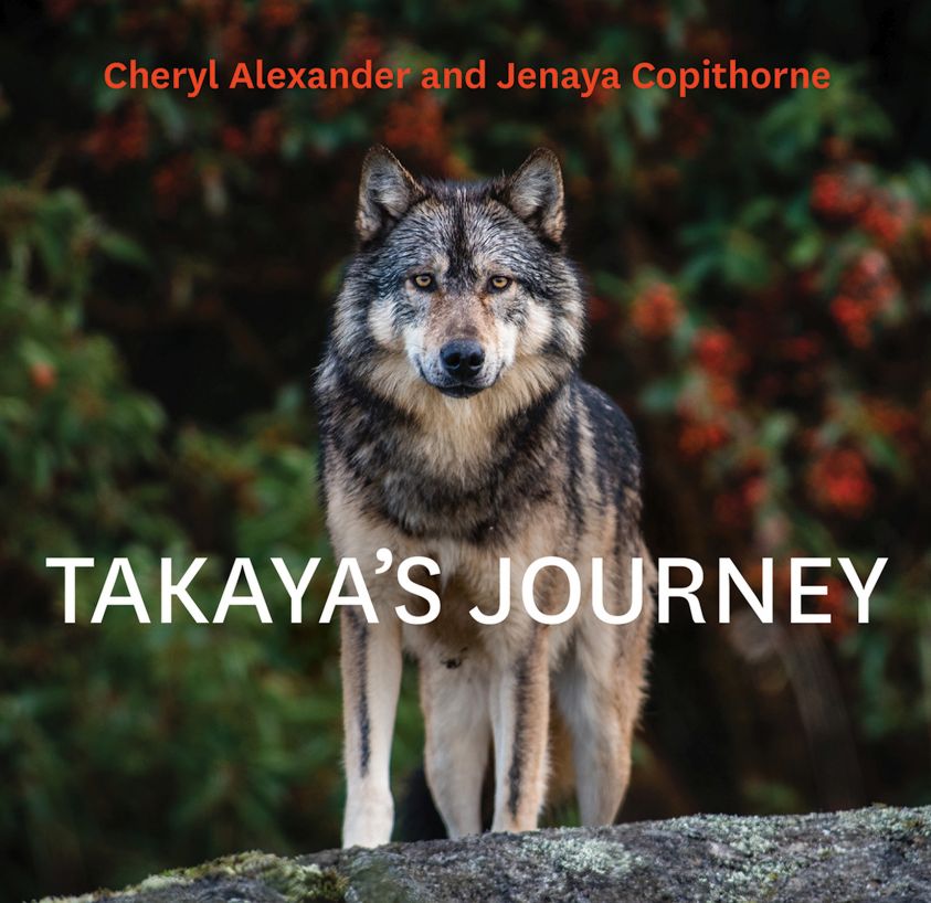 Takaya's Journey photo №1