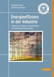 Energieeffizienz in der Industrie Foto №1