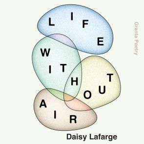 Life Without Air photo 1