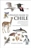 Wildlife Guide to Chile photo №1