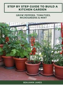 Step by Step Guide to Build a Kitchen Garden: Grow Peppers, Tomatoes, Microgreens & Mint photo №1