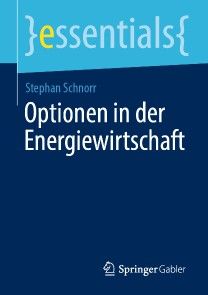 Optionen in der Energiewirtschaft Foto №1