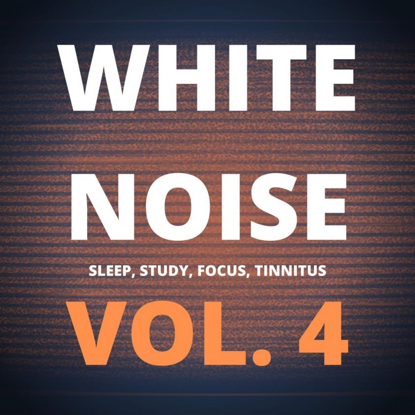 White Noise (Vol. 4) photo 2