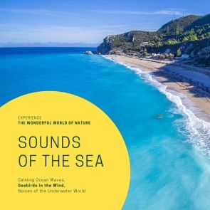 Sounds Of The Sea: Calming Ocean Waves, Seabirds in the Wind, Noises of the Underwater World photo 1