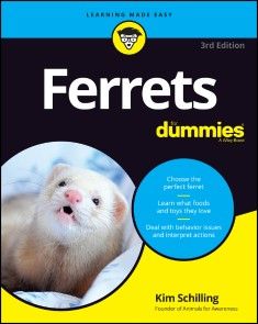Ferrets For Dummies photo №1