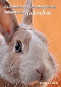 Wertvolle Tipps zur artgerechten Haltung von Kaninchen Foto №1