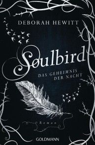 Soulbird - Das Geheimnis der Nacht Foto №1