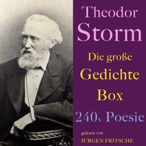 Theodor Storm: Die große Gedichte Box Foto 1