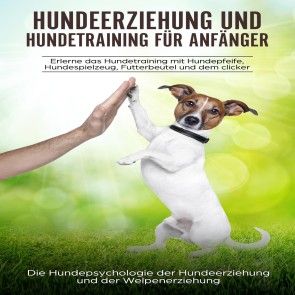 Hundeerziehung und Hundetraining für Anfänger Foto 1