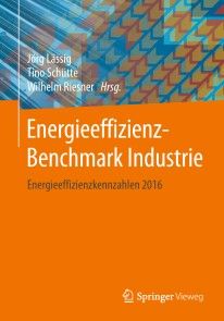 Energieeffizienz-Benchmark Industrie photo №1