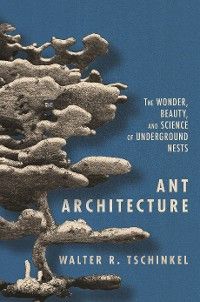 Ant Architecture photo №1