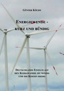 Energiewende - Kurz und Bündig Foto №1