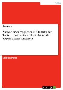 Analyse eines möglichen EU-Beitritts der Türkei. In wieweit erfüllt die Türkei die Kopenhagener Kriterien? Foto №1