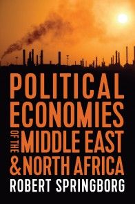 Political Economies of the Middle East and North Africa photo №1