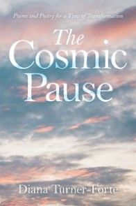 The Cosmic Pause photo №1