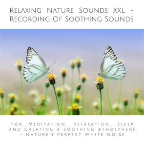 Relaxing Nature Sounds (without music) - Recording Of Soothing Nature Sounds Foto 1