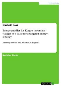 Energy profiles for Kyrgyz mountain villages as a basis for a targeted energy strategy photo №1