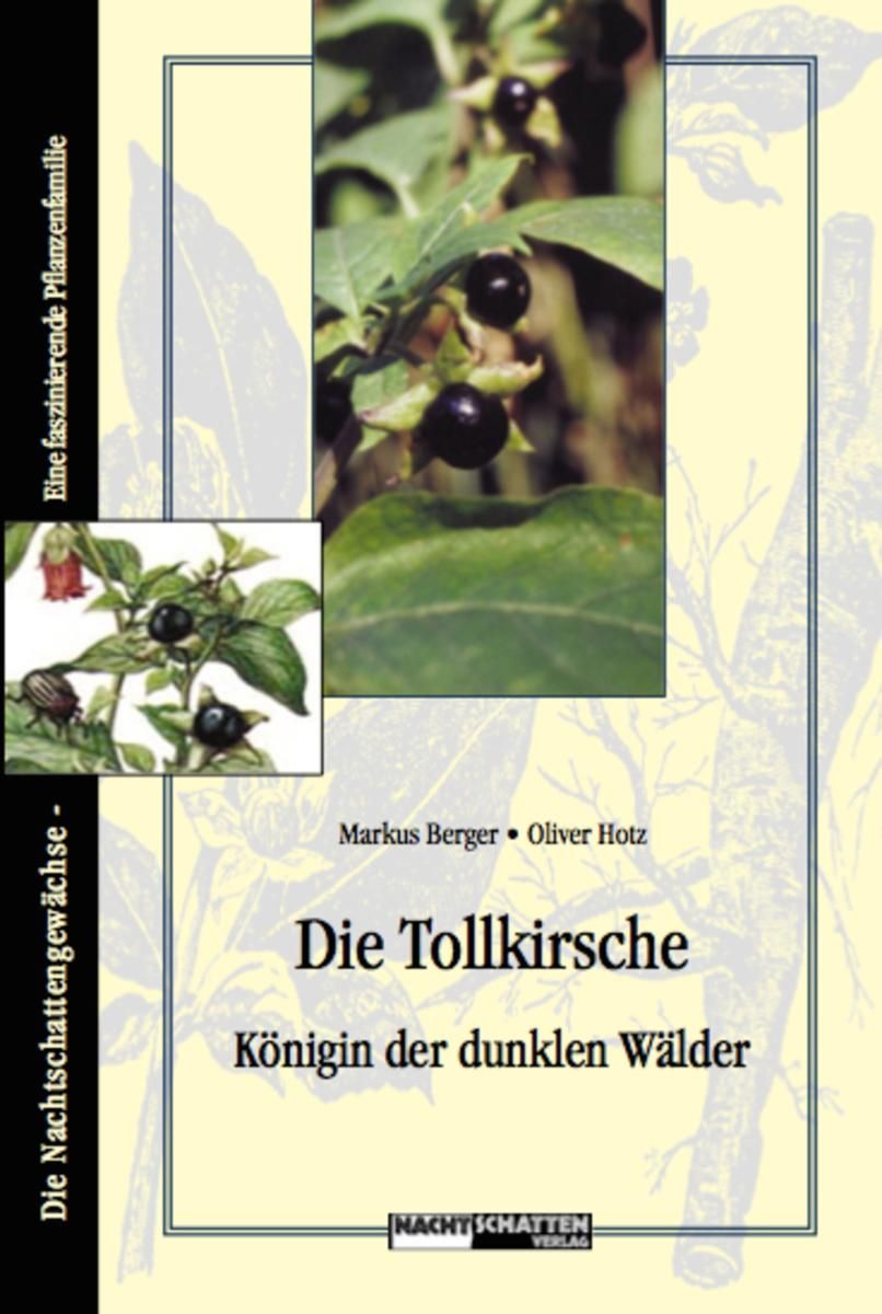 Die Tollkirsche - Königin der dunklen Wälder Foto 1