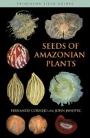 Seeds of Amazonian Plants photo №1