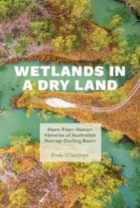 Wetlands in a Dry Land photo №1