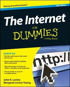 The Internet For Dummies photo №1