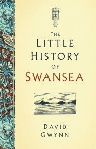 The Little History of Swansea photo №1