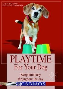 Playtime for your dog photo №1