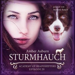 Sturmhauch, Episode 20 - Fantasy-Serie Foto 2