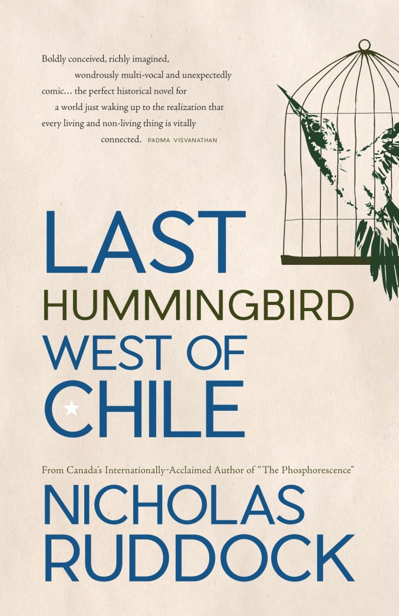 Last Hummingbird West of Chile photo №1