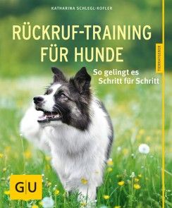 Rückruf-Training für Hunde Foto №1