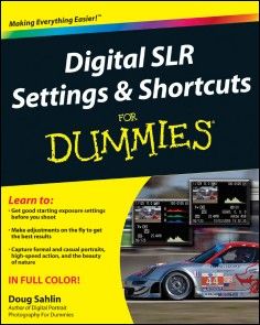 Digital SLR Settings and Shortcuts For Dummies photo №1