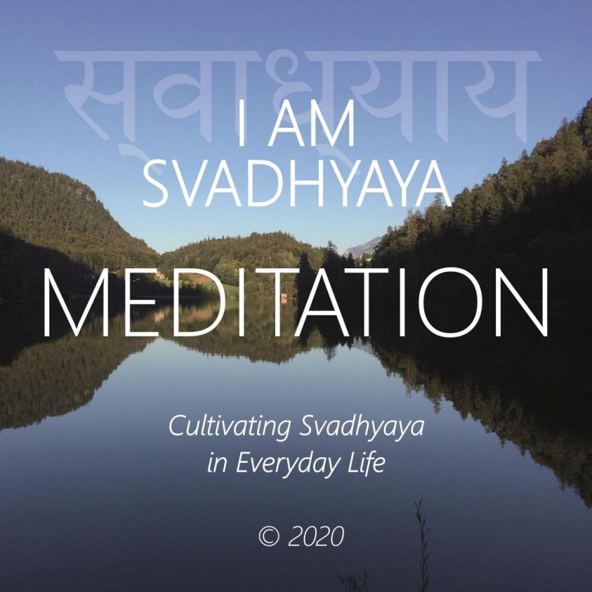 I Am Svadhyaya photo 2