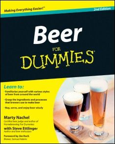 Beer For Dummies photo №1