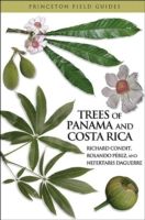 Trees of Panama and Costa Rica photo №1
