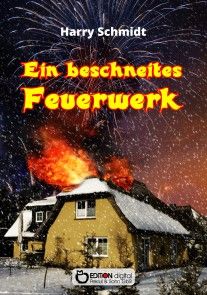 Ein beschneites Feuerwerk photo №1