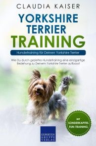 Yorkshire Terrier Training: Hundetraining für Deinen Yorkshire Terrier Foto №1