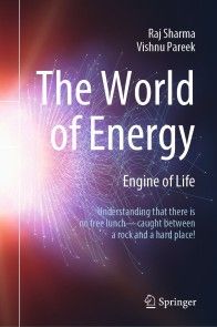 The World of Energy photo №1