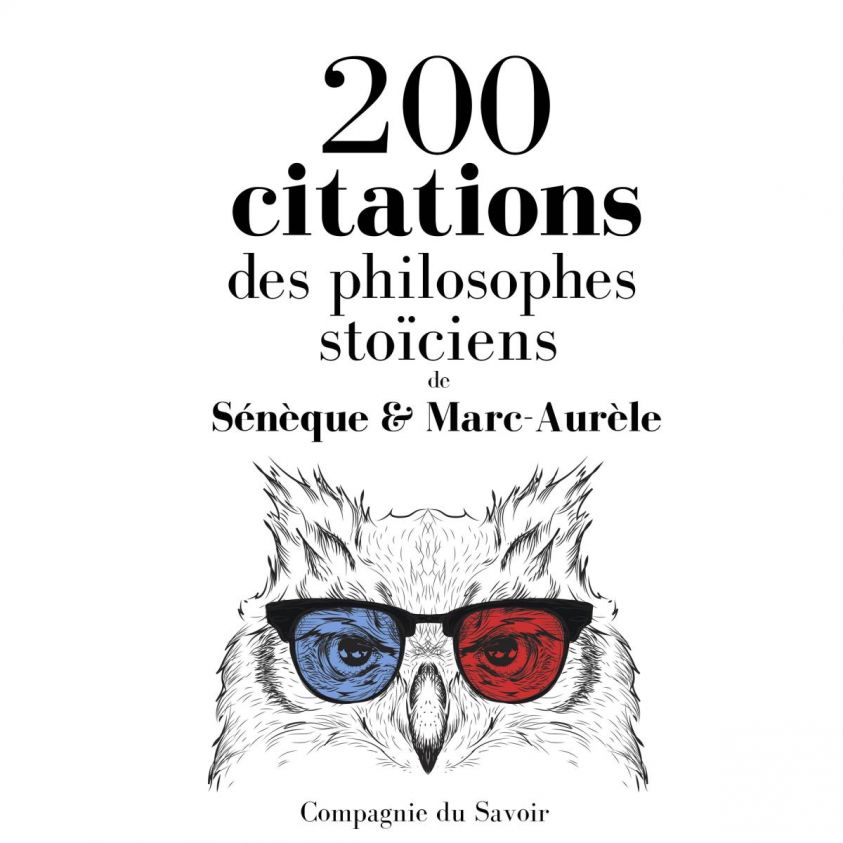 200 citations des philosophes stoïciens photo 2