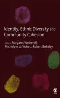 Identity, Ethnic Diversity and Community Cohesion photo №1