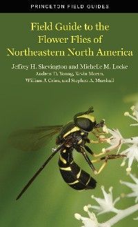 Field Guide to the Flower Flies of Northeastern North America photo №1