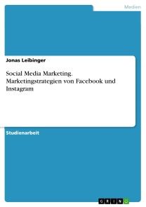 Social Media Marketing. Marketingstrategien von Facebook und Instagram Foto №1