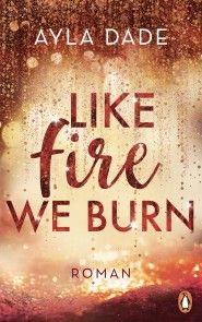 Like Fire We Burn Foto №1
