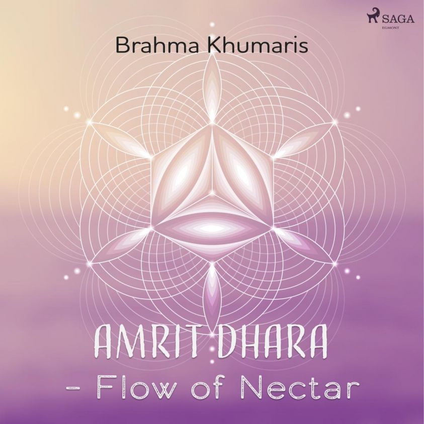 Amrit Dhara - Flow of Nectar photo 2