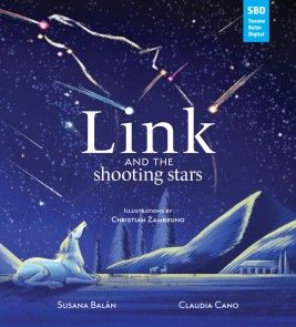 Link and the shooting stars photo №1