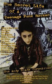 The Secret Life Of A Teenage Punk Rocker photo №1