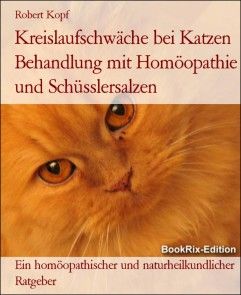Kreislaufschwäche bei Katzen Behandlung mit Homöopathie und Schüsslersalzen Foto №1