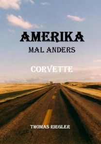 Amerika mal anders - Corvette Foto №1