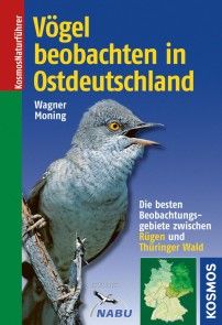 Vögel beobachten in Ostdeutschland Foto №1